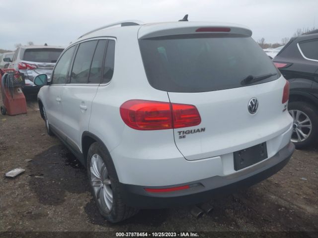 WVGBV7AXXGW601918  volkswagen tiguan 2016 IMG 2