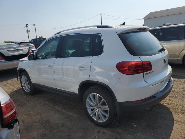 WVGBV3AX3DW626230  volkswagen tiguan s 2013 IMG 1