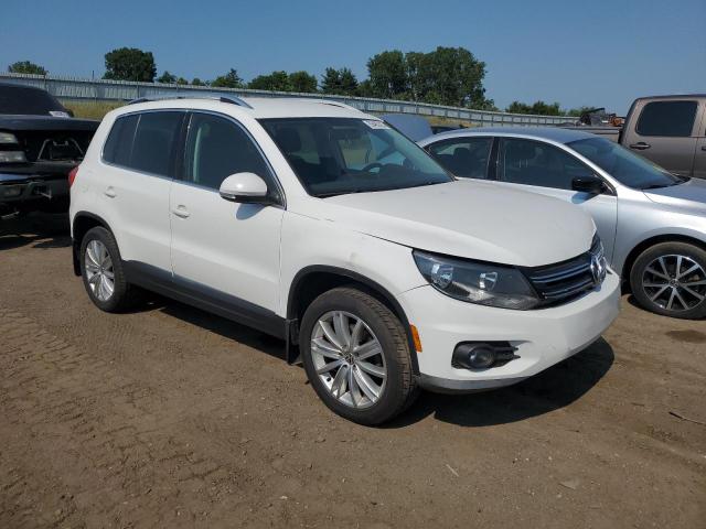 WVGBV3AX3DW626230  volkswagen tiguan s 2013 IMG 3