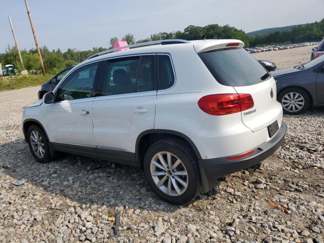 WVGSV7AXXHW504980  volkswagen tiguan wol 2017 IMG 1