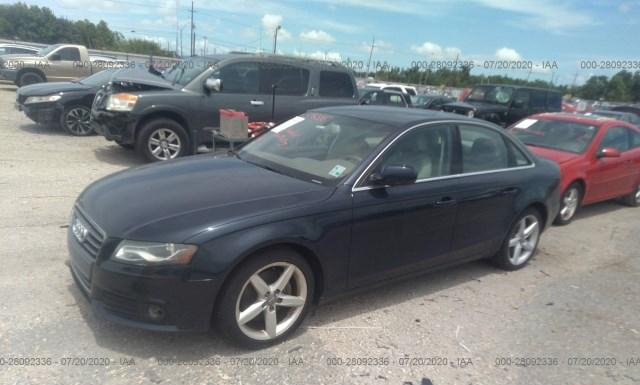 WAUHFAFL9BN015690  audi a4 2011 IMG 1