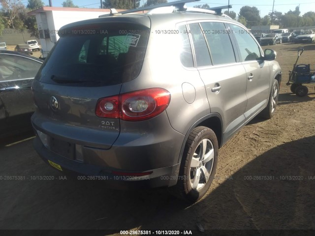 WVGBV7AX9AW530301  volkswagen tiguan 2010 IMG 3