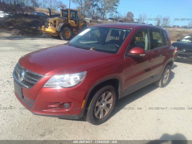WVGBV7AX8AW003401  volkswagen tiguan 2010 IMG 1