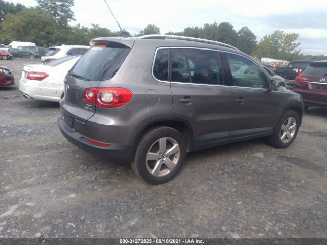 WVGBV7AX5AW001749  volkswagen tiguan 2010 IMG 3