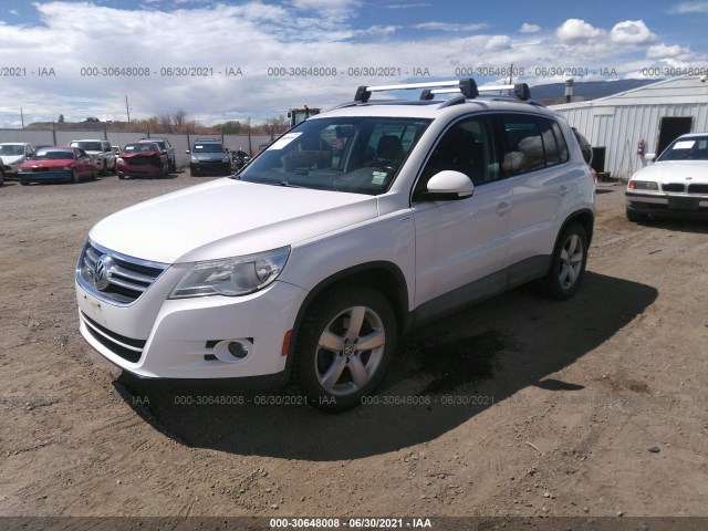 WVGBV7AX0AW536813  volkswagen tiguan 2010 IMG 1